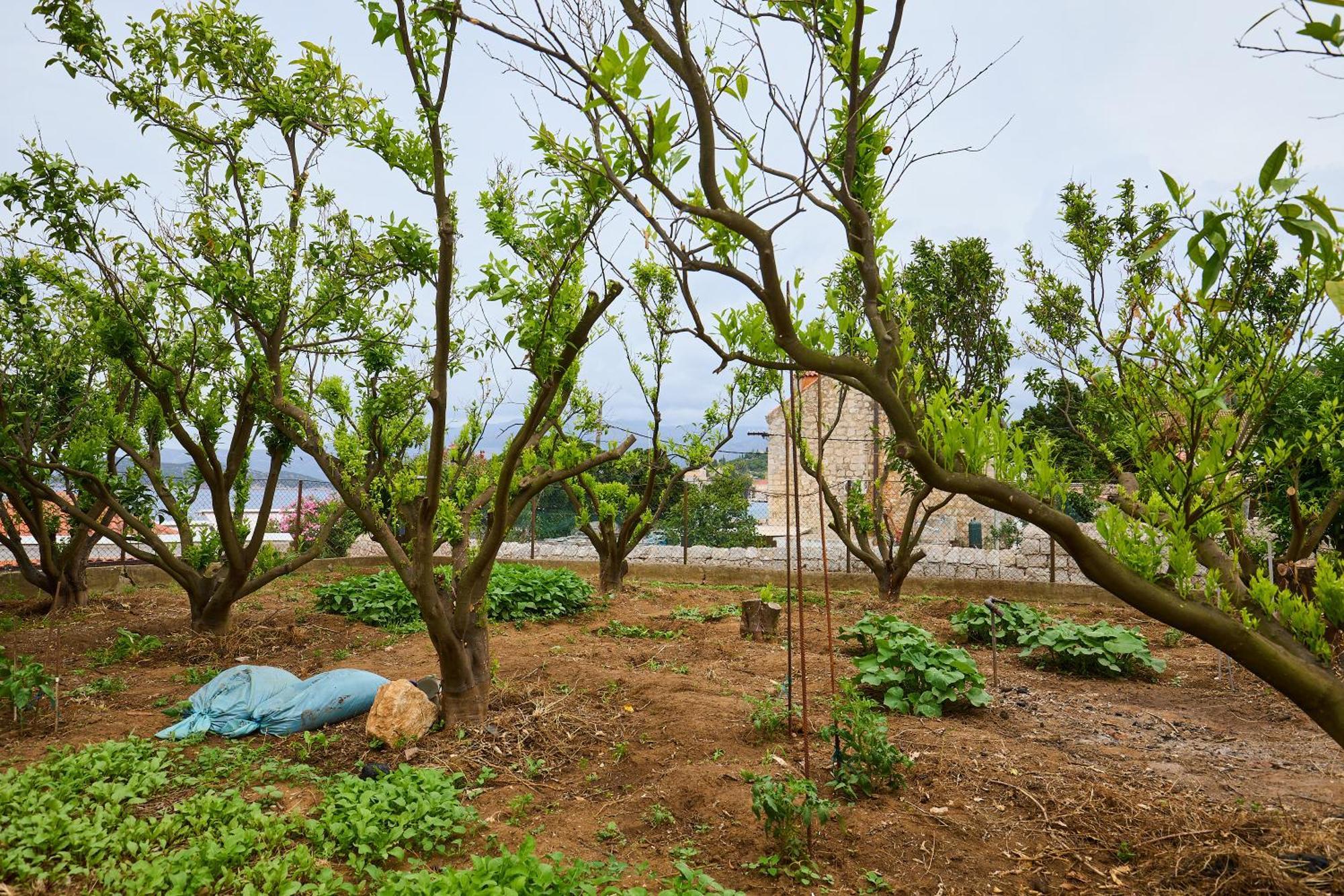 Ferienwohnung Beloc House Lopud Island Exterior foto